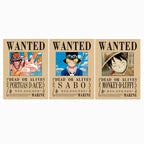 One Piece 3D Motion Poster