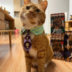 JJBA Pet Cosplay Tie